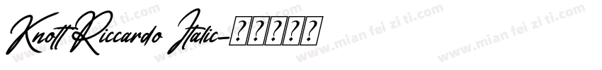 Knott Riccardo Italic字体转换